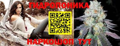 крисы Новодвинск