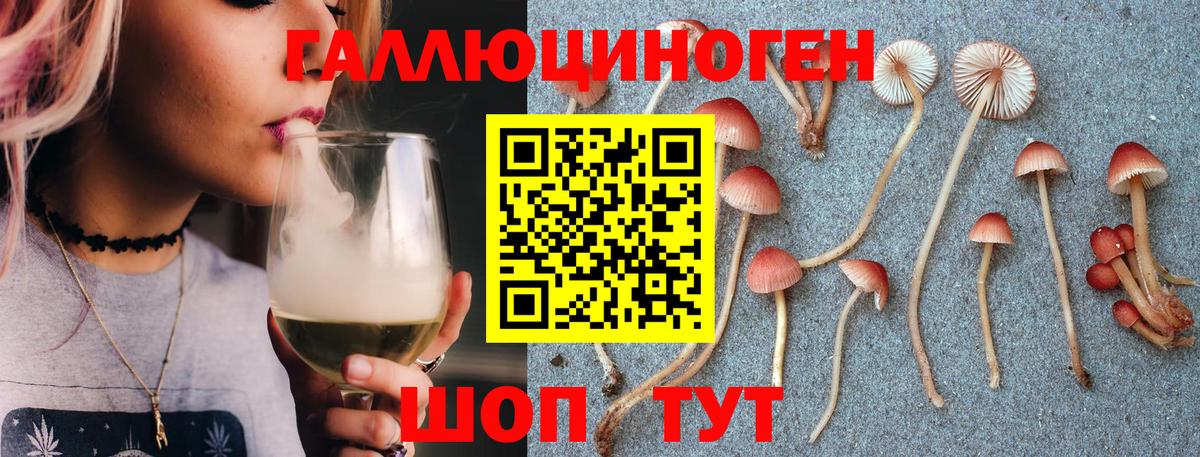 Галлюциногенные грибы GOLDEN TEACHER  Псилоцибиновые грибы Psilocybine cubensis  Вход с VPN  закладки  Сыктывкар 