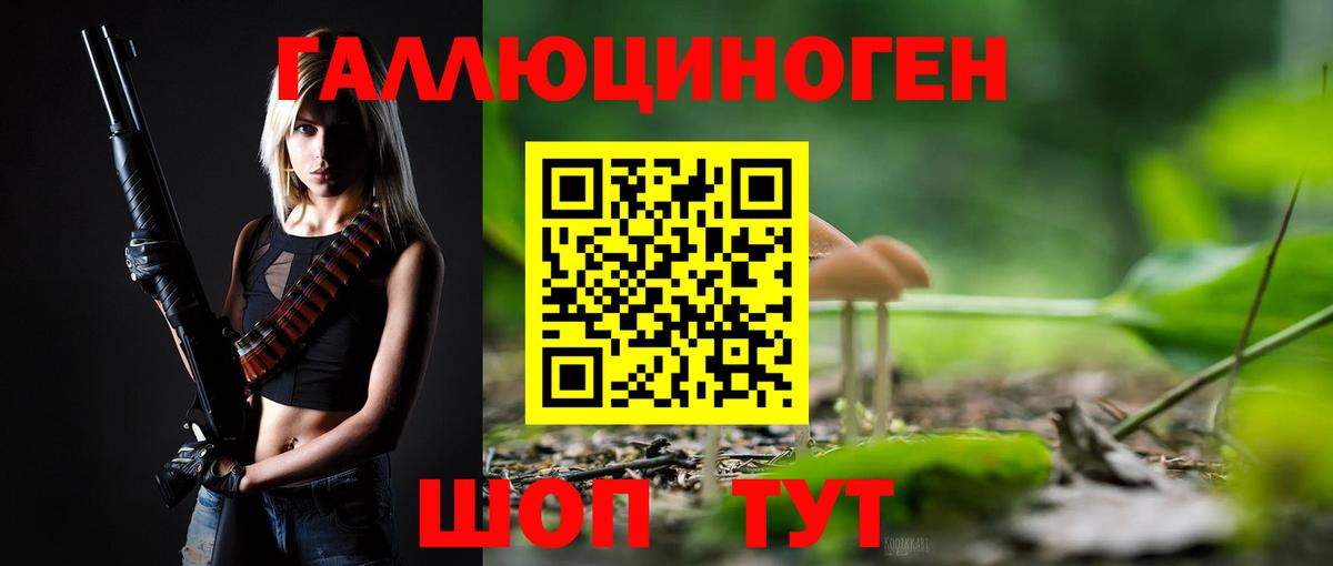 Галлюциногенные грибы Psilocybe Сыктывкар